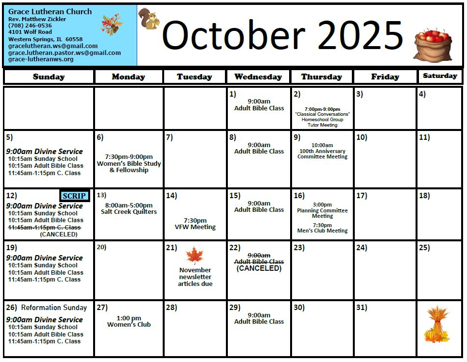 Grace October 2025JPG